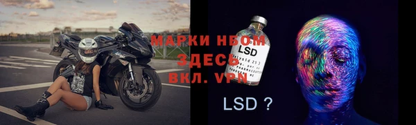 молекула духа Новокубанск