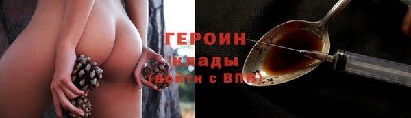гидра Богданович