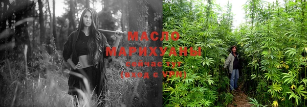 гидра Богданович