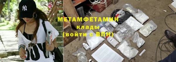 гидра Богданович
