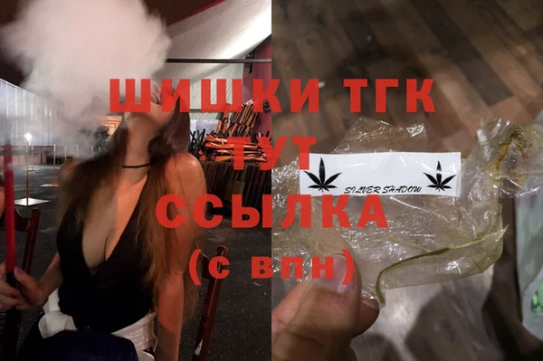 гидра Богданович