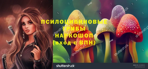 гидра Богданович