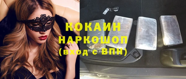 гидра Богданович