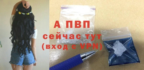 гидра Богданович