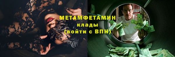 прущие грибы Богородск