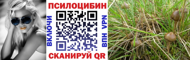 Галлюциногенные грибы GOLDEN TEACHER  hydra ССЫЛКА  Среднеуральск 